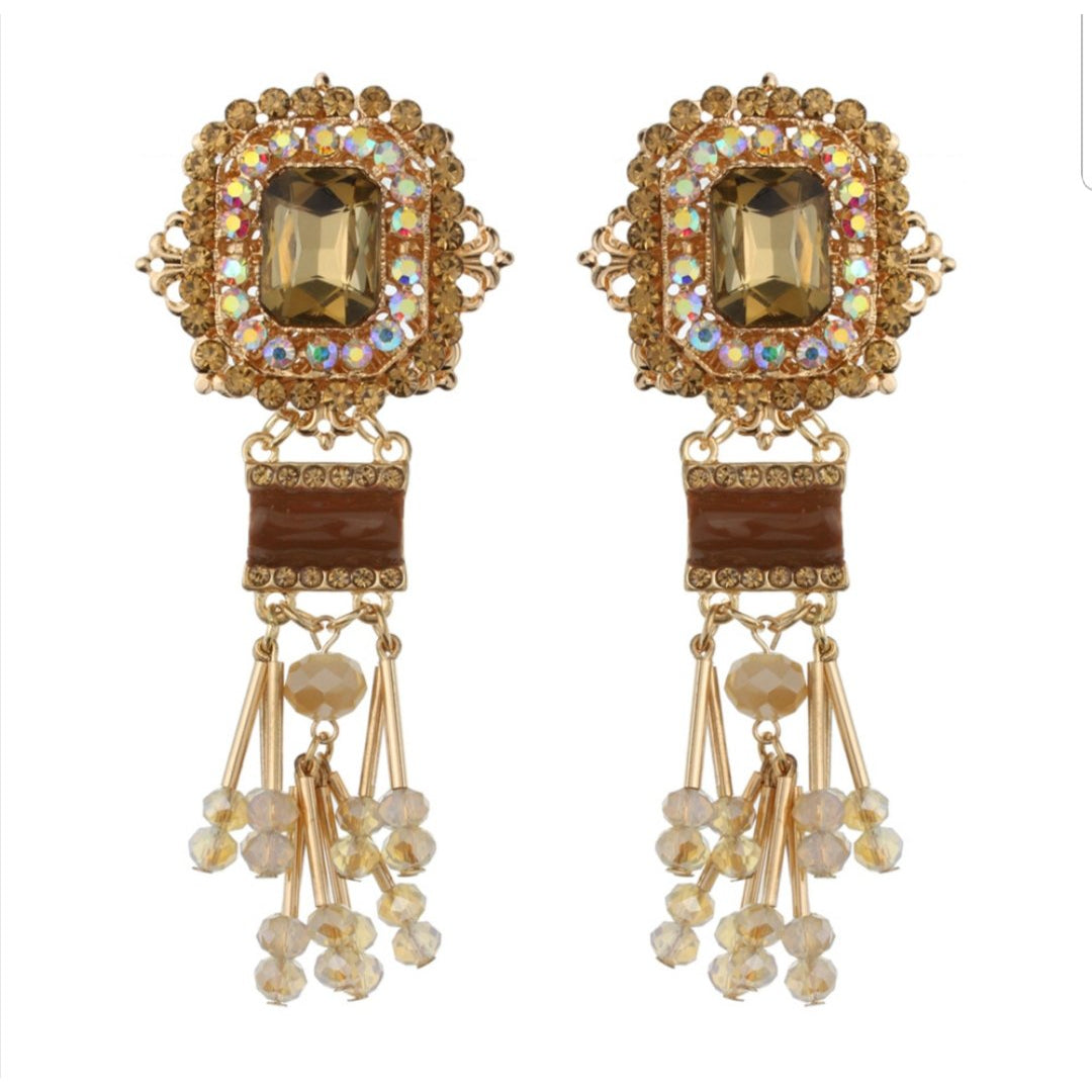 " Beaded Beauty" Statement Earrings